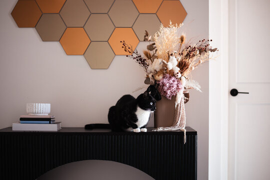 cat on hall table