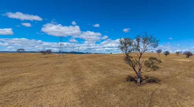 Power Pylons from the Sapphire Wind Farm