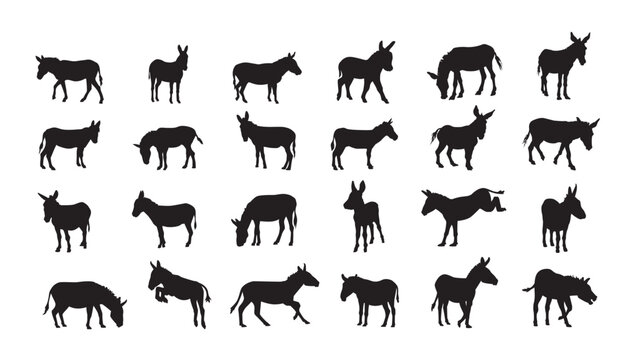 A collection of black donkey silhouettes in various poses on a white background