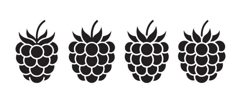 Raspberry Fruits Icons Set. on White Background for Food Design and Organic Branding.