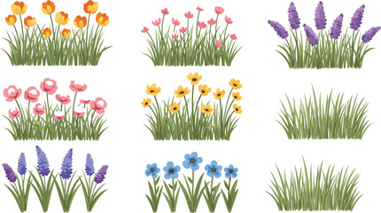 Colorful spring flower and grass vector collection featuring blooming plants garden florals isolated for nature themed design and decoration projects © Mamun