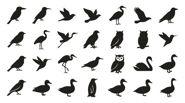 A Collection of Diverse Bird Silhouettes in Various Poses and Species