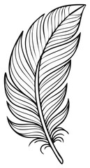 Obraz premium Delicate Bird Feather in Detailed Outline Illustration for Art or Design Projects Featuring Natural Element