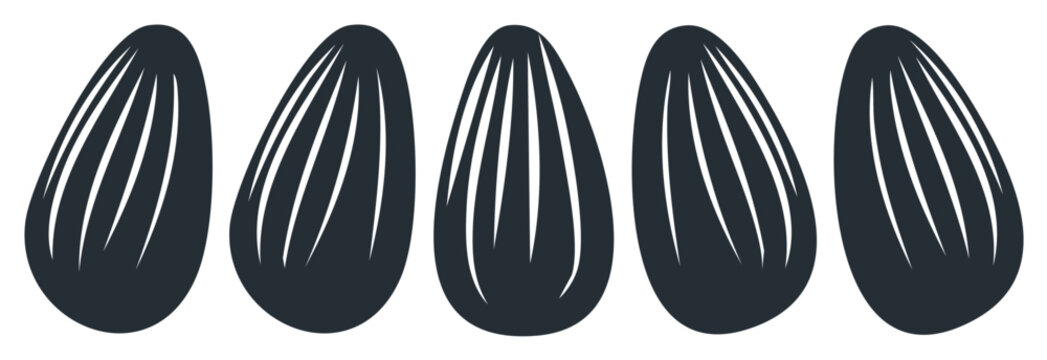 Group of dark sunflower seeds with textured stripes isolated on a white background