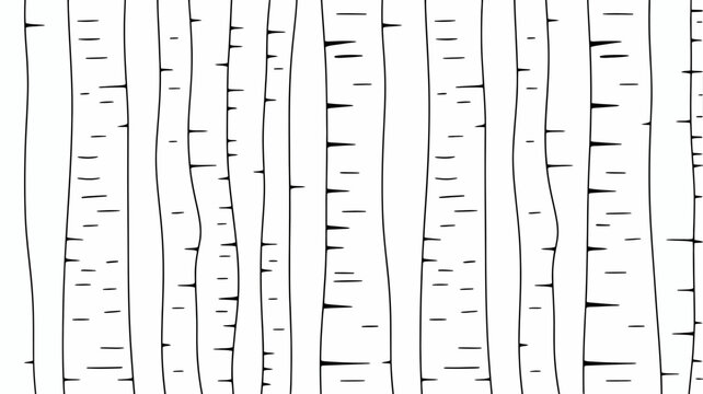 Birch tree trunks black and white vector illustration trunk line art minimalistic