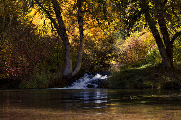 Obraz premium Creek in Spearfish Canyon