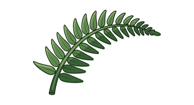 Lush fern frond illustration isolated on white background in detailed cartoon style with vibrant green tones and naturalistic venation