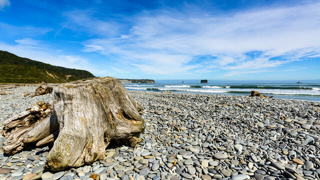 Driftwood on a stoney beach with ocean, headland and cloudy blue sky