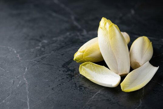 Pristine raw belgian endive leaves arranged on a minimalist dark marble surface