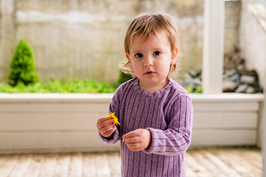 Toddler girl standing on wooden deck in the porch holding a yellow flower