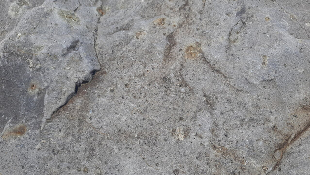 Natural Grey Limestone Surface Texture with Weathered Pits and Earthy Mineral Grain