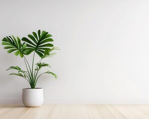 Fototapeta premium Sustainable home renovation with layered natural materials and eco flooring