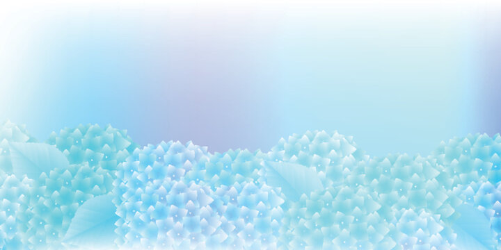 Beautiful Hydrangea Flowers Background in Soft Pastel Blue Tones