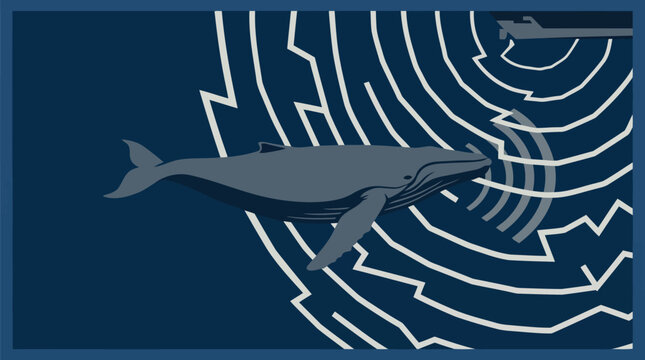 Humpback whale communicating with sonar waves in deep blue ocean.