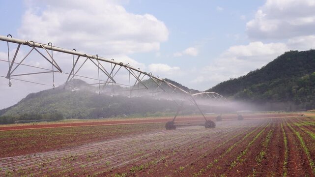 Automated center pivot irrigation system watering a large farm field. Smart agriculture technology for efficient crop growth with mountains in the background.