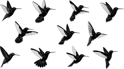 Hummingbird silhouette set, flying bird vector icons, nectar feeding colibri in motion, nature wild life elements, tropical garden wings, 2026. © MdSafiullah