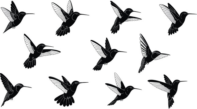 Hummingbird silhouette set, flying bird vector icons, nectar feeding colibri in motion, nature wild life elements, tropical garden wings, 2026.