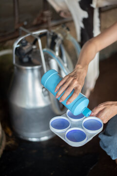 Close-up of a female farmer performing a CMT (California Mastitis Test) on a cow's udder in a dairy farm. Squirt of fresh milk into a test paddle for health and quality inspection.