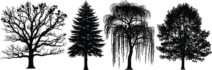 Tree Silhouettes on White Background © Azan