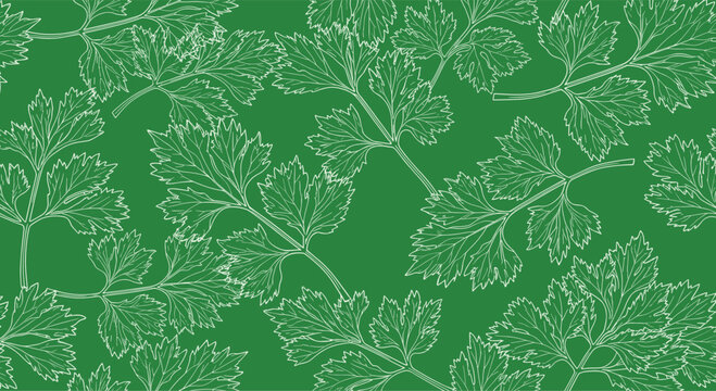 Seamless pattern of white hand drawn parsley or cilantro leaves on a vibrant green background for culinary and kitchen themes.