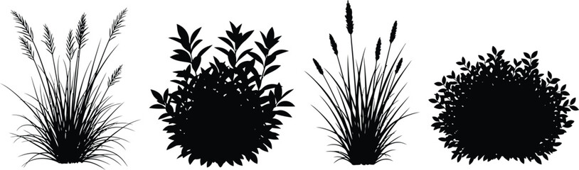 Black Cattail and Plant Silhouettes Isolated on White Background © Azan