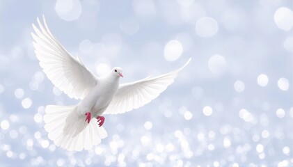 Fototapeta premium a white dove flying in the air, wings fully spread, gliding gracefully against a soft, pale blue sky