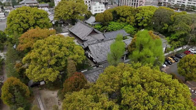 Aerial view of traditional Japanese house among trees
