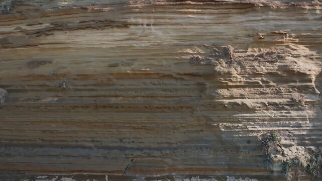 波の侵食でつくられた横しまの地層
