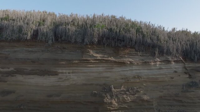 崖の前を上昇する様子