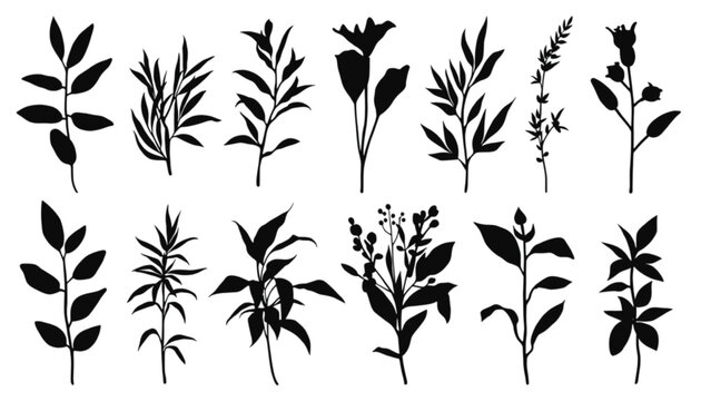 Plants and herbs depicted as an assortment of black silhouettes provide a detailed selection of organic forms that enhance the visual appeal of any professional design or artistic composition project.