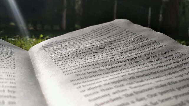 Open book in sunlight, serene outdoor reading atmosphere