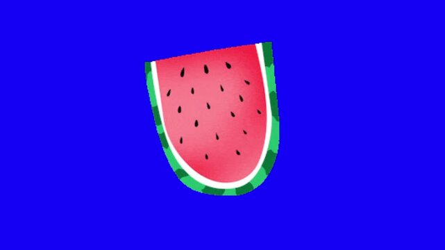 watermelon vector illustration