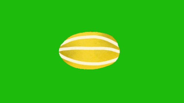 watermelon vector illustration on green screen