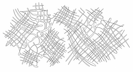 Obraz premium Abstract network of interwoven lines and organic shapes, rendered in a minimalist monochrome style, suggesting connectivity and complexity against a clean white background.