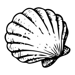 Hand Drawn Illustration Transparent Scallop Seashell © Tim Berdua