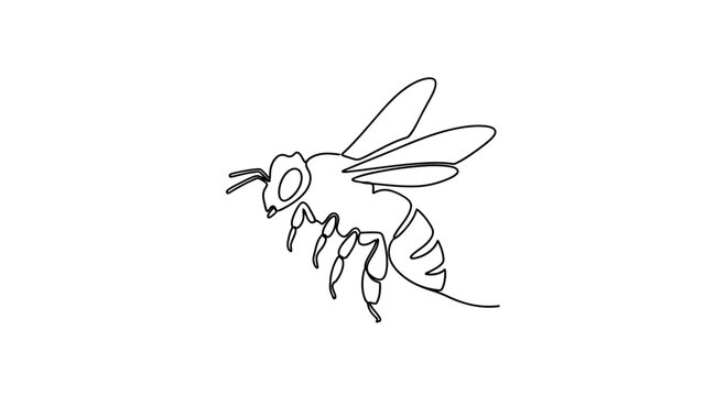 Insect Bee Flying Black Lines.