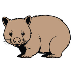Fototapeta premium wombat