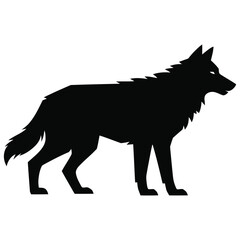 Obraz premium wolf vector illustration