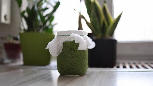 Homemade green herbal paste in glass jar covered with cloth standing on kitchen windowsill natural remedy preparation healthy lifestyle and organic wellness concept