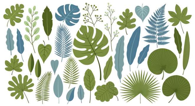Vector illustration set featuring a diverse array of vibrant tropical and exotic leaves, botanically inspired jungle foliage elements for creative design projects