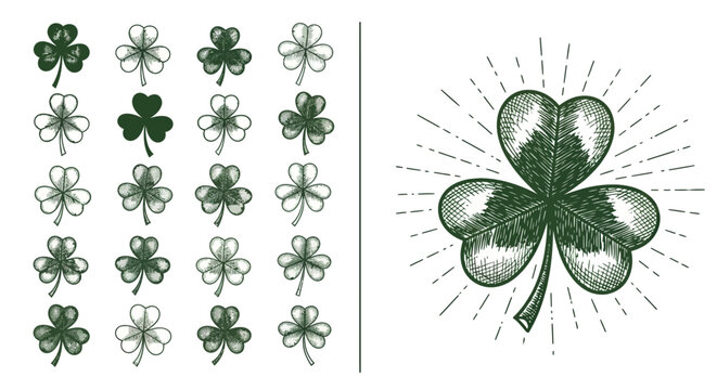 Shamrock clover illustrations collection for St