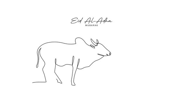 Farmer Leading Cow For Eid Qurban. Eid Al adha Concept. Single line draw design Video 4k. Footage graphic illustration