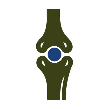 Anatomical illustration of a knee joint with prosthetic implant