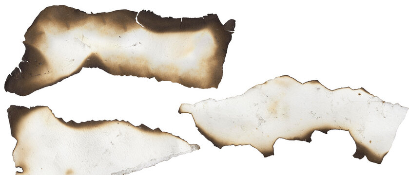 Burnt white paper strip set three horizontal elongated brown burn mark isolated white background