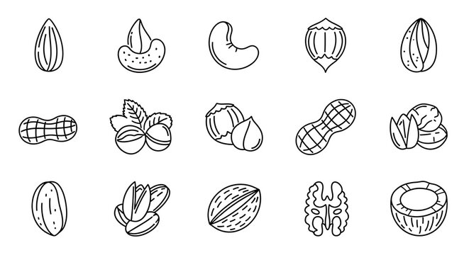 Collection of diverse nut outlines, including almonds, cashews, walnuts, peanuts, and more, presented in a simple, clean line art style, suitable for food, health, or dietary infographics
