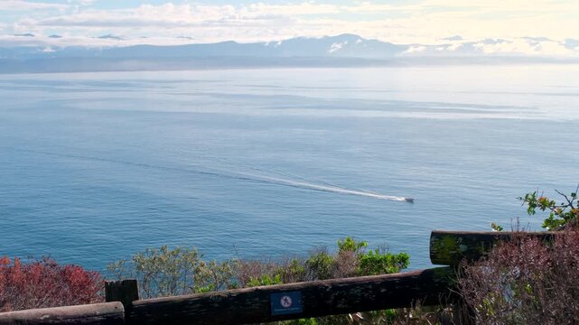 Ecotourism sightseeing boat cruise to seal colony at Robberg Marine Sanctuary