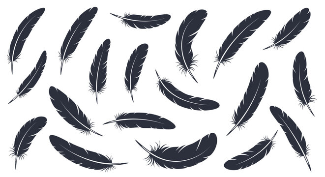 Stylized dark feathers gracefully float across a simple white background, forming a beautiful, light, and ethereal decorative pattern illustration.