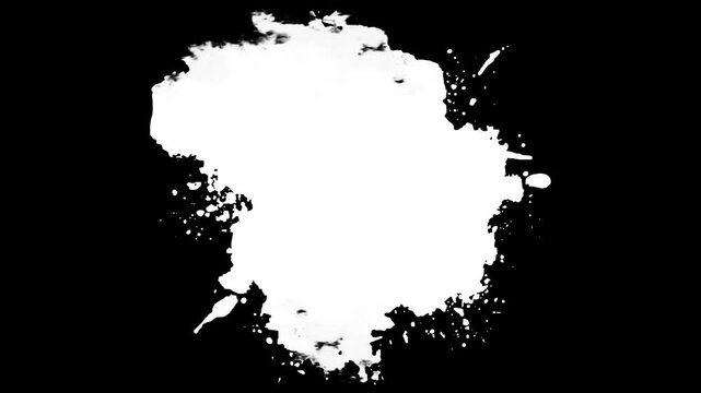 Ink Bloom on White Ink Bleed Bloom, Transitions of black expanding paint stains on white backdrop Grunge Ink spreads,
abstract paint brush stroke shape black ink splattering flowing and washing 