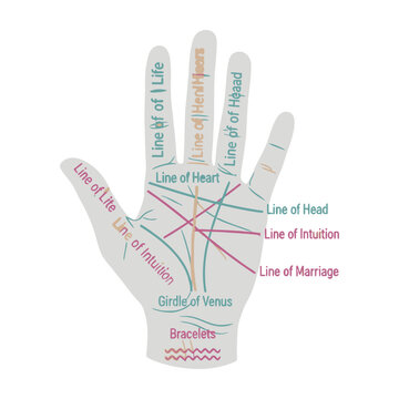Palmistry hand with labeled lines and mounts