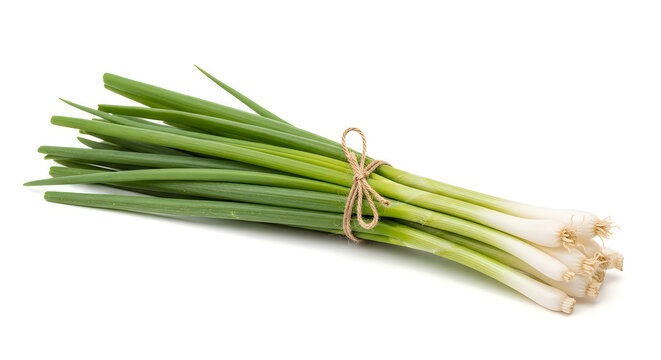 Fresh green onions tied together with a string on white background
